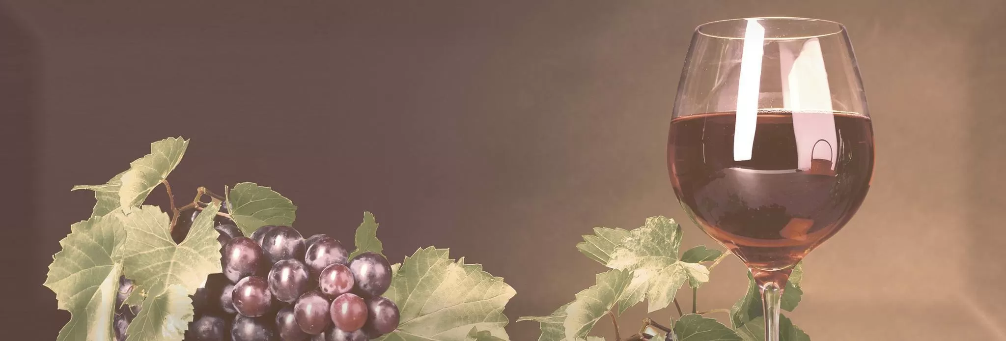 Плитка AK0650 Decor Wine 01 A 10x30