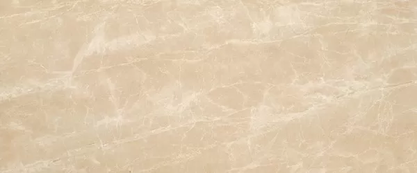Плитка A4SM Marvel Elegant Sable 50x120