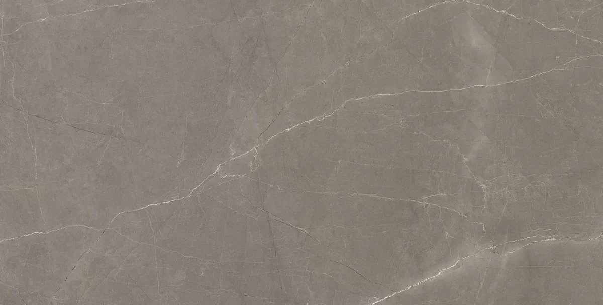 Керамогранит Splash Grey серый 60х120