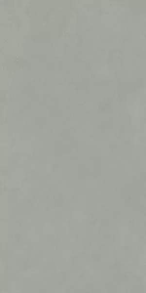 Керамогранит DD590900R Про Чементо серый матовый обрезной 119,5x238,5