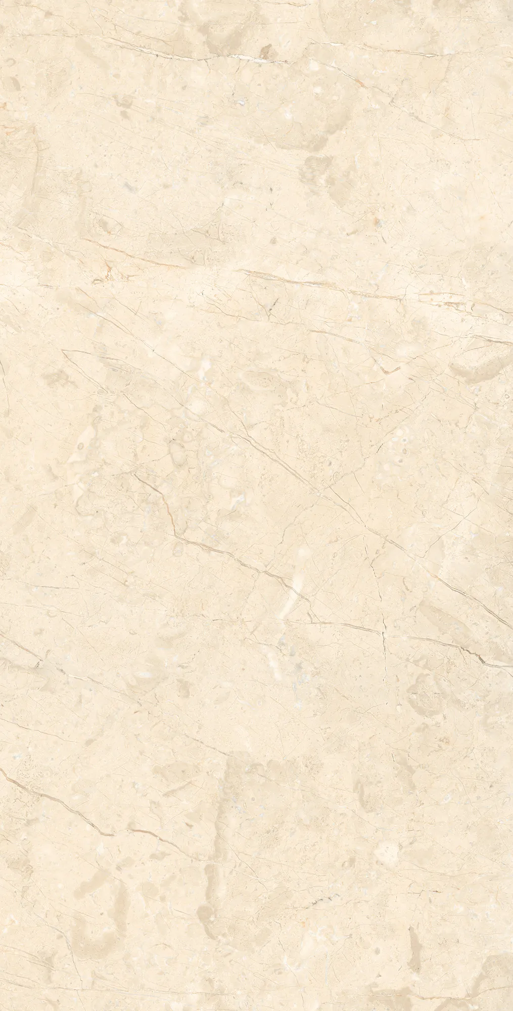 Керамогранит RT7016-A Marcus Cremano Matt Rustic 60x120