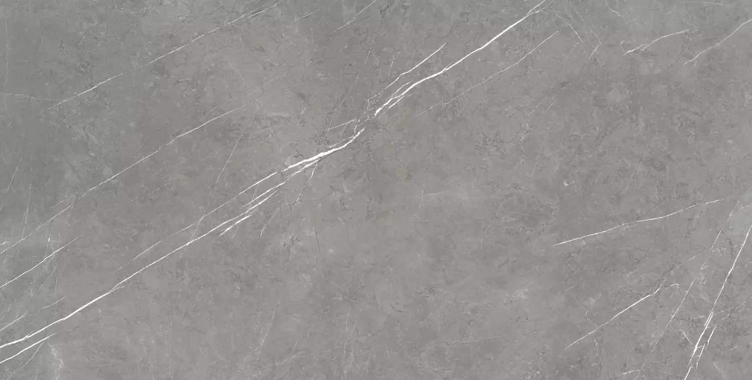 Керамогранит 610015000665 Forte dei Marmi Elegant Grey Lapp 80x160