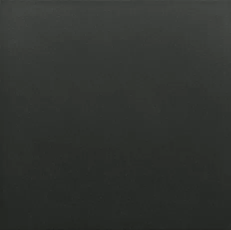 Керамогранит 30720 Rivoli Black 20x20