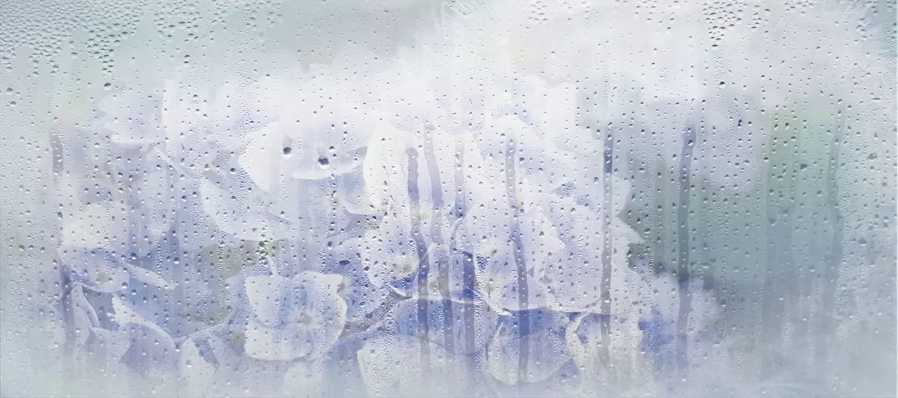 Плитка 131614 Rosa Деко 20*45