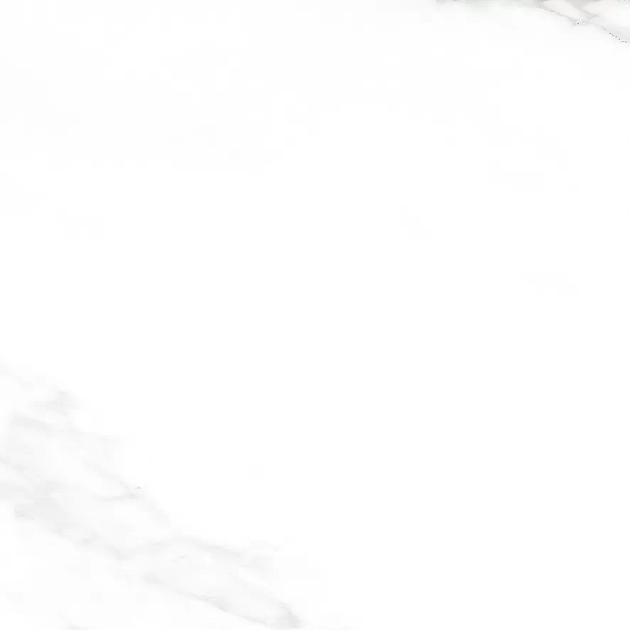 Керамогранит Carrara Excellent Silver Белый Матовый 60х60