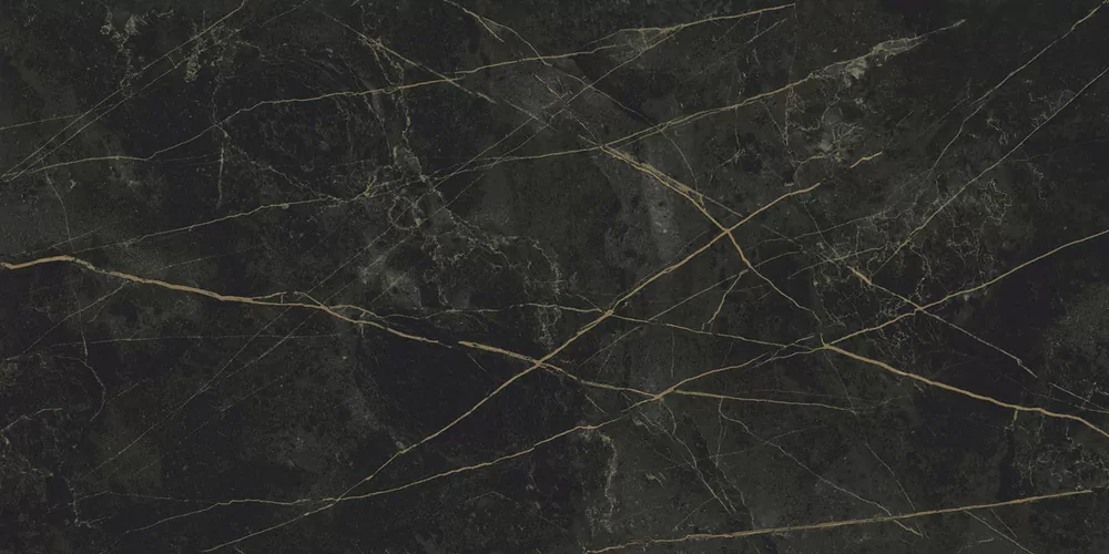 Керамогранит Granite SANDRA Black Olive / Гранит Сандра черно-оливковый LLR 120x60