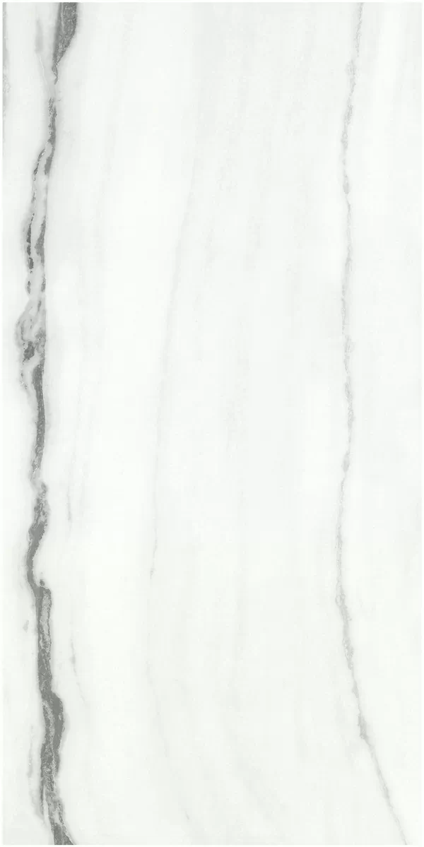 Керамогранит F918G10101 Panda White glossy 90x180