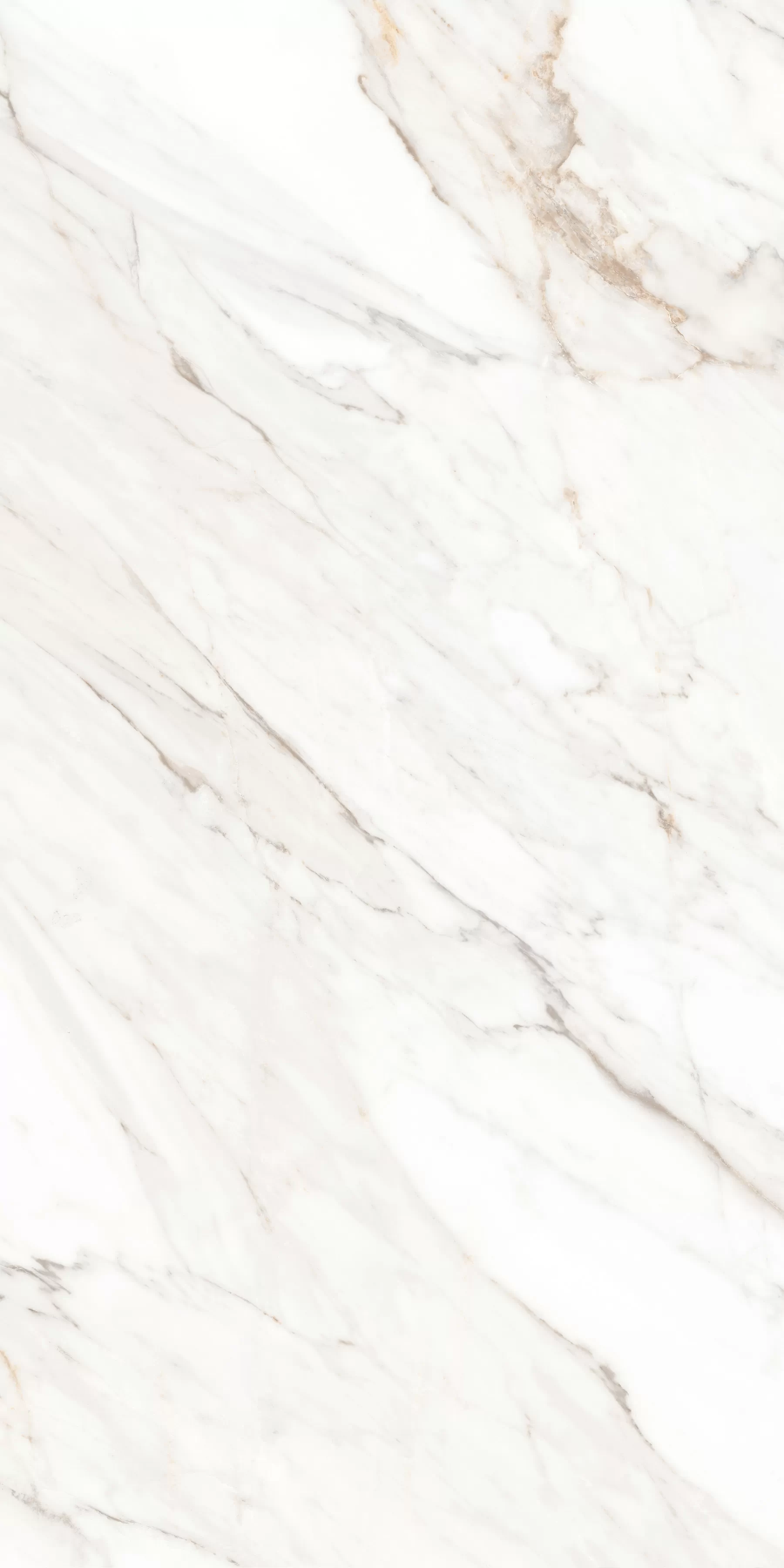 Керамогранит MPL-058630 Calacatta Gold Satin 60x120