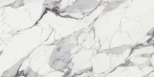 Керамогранит 769859 Les Origines De Rex Argent Glossy 60x120