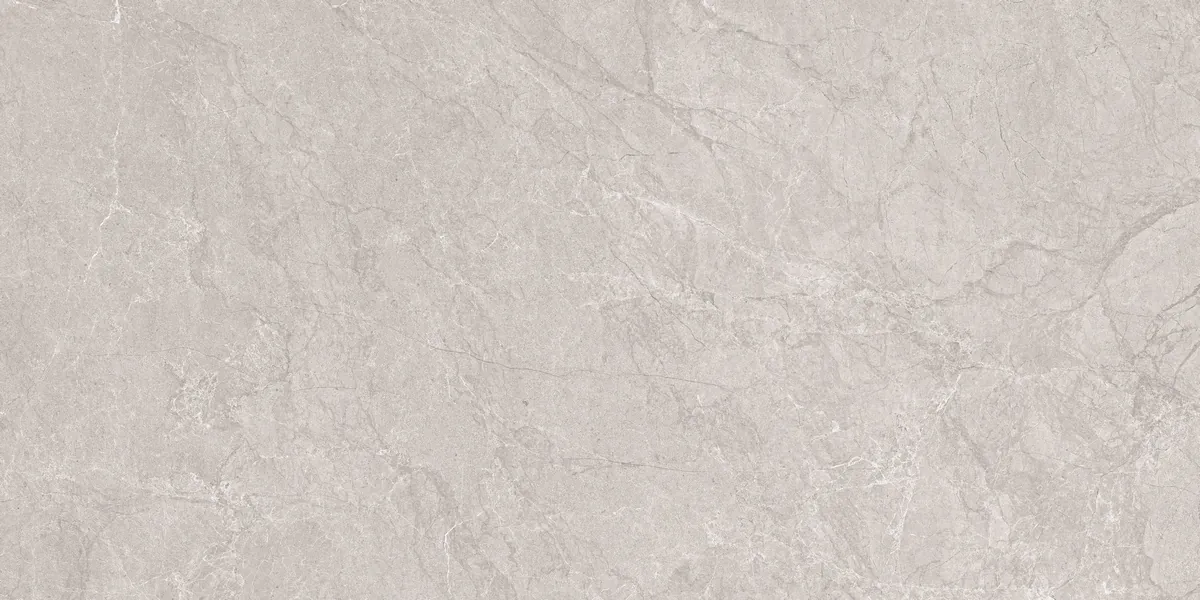 Керамогранит N20555 Aristo Grey Tm 60x120
