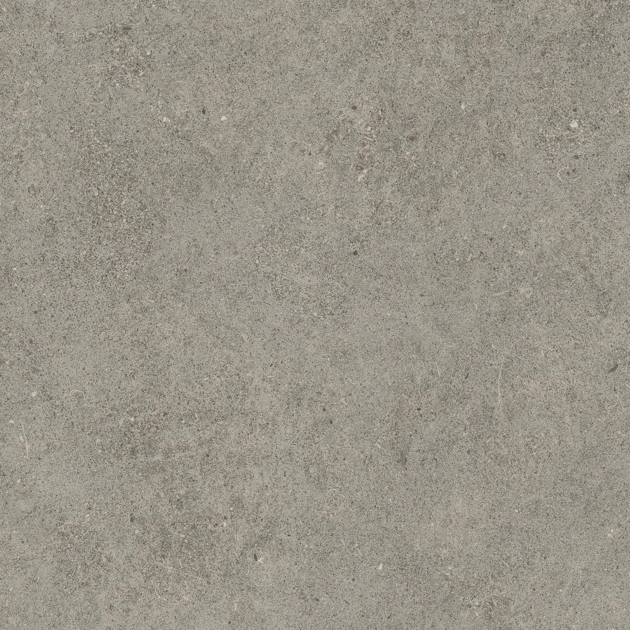 Керамогранит 610010005836 Forte dei Marmi Rock Lunar Grey Lastra 20mm 60x60
