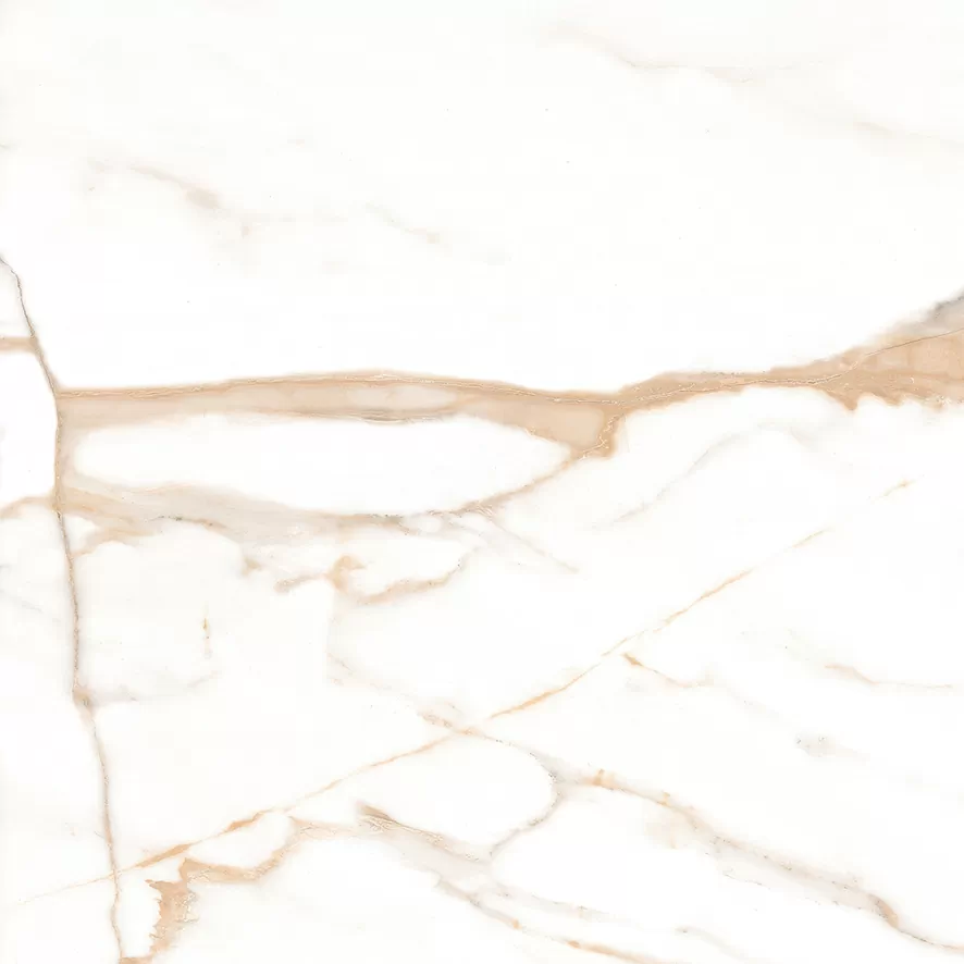 Керамогранит Calacatta Goddes Gold Белый Полированный 60х60