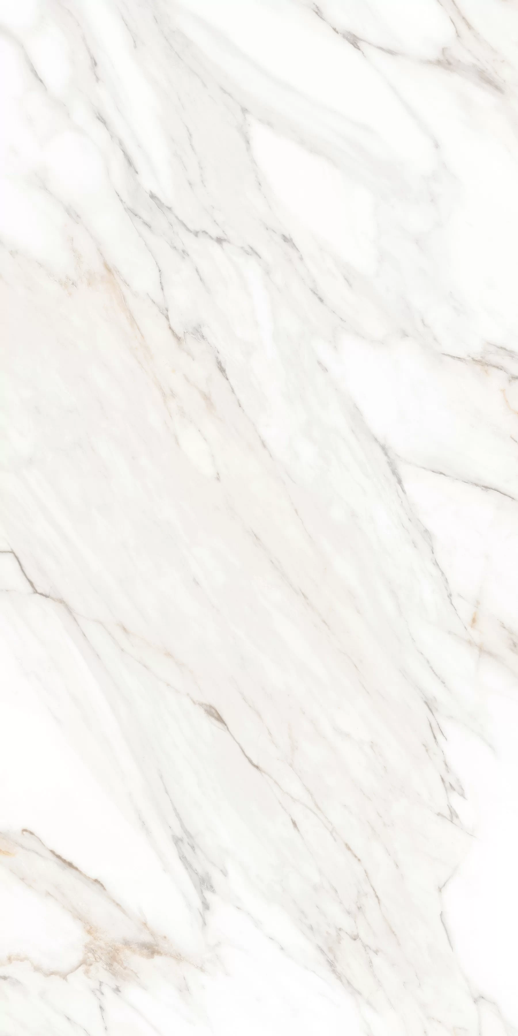 Керамогранит MPL-058631 Calacatta Gold Polished 60x120