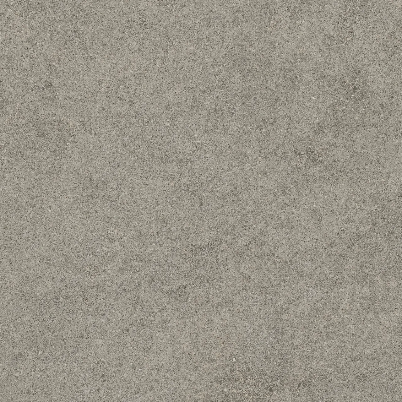 Керамогранит 610010005836 Forte dei Marmi Rock Lunar Grey Lastra 20mm 60x60