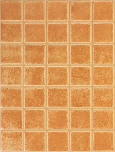 Плитка WARKB231 PATINA brick 25x33