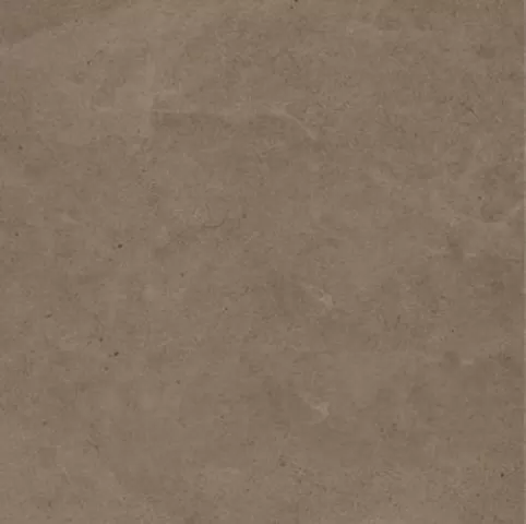 Керамогранит Elegance Silk Via Farini 1000x1000