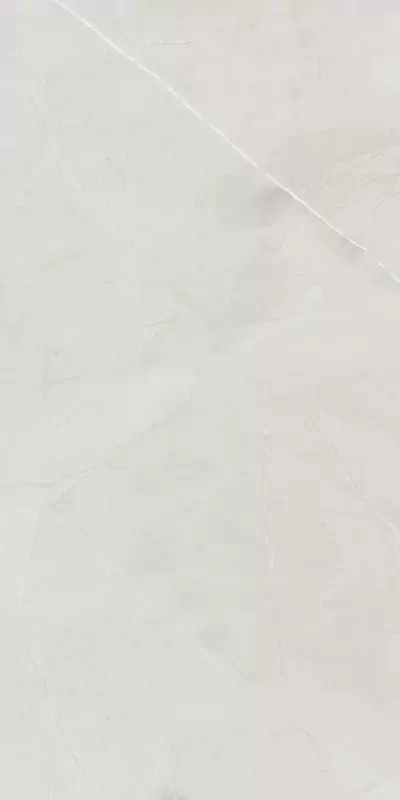 Керамогранит Armani Harbor Silver Glossy 60х120