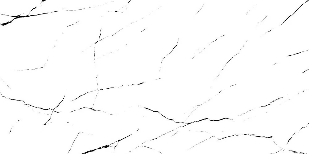 Керамогранит Delta White & Black 120x60