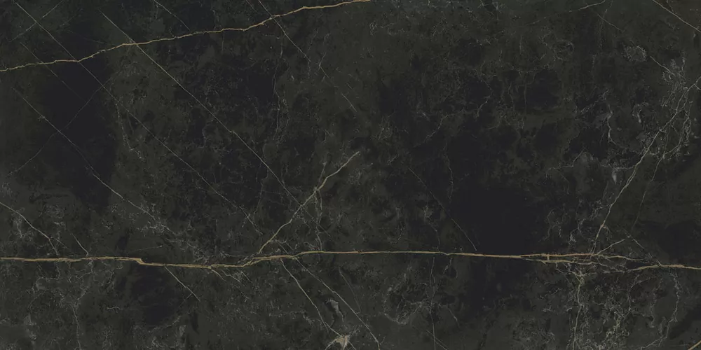 Керамогранит Granite SANDRA Black Olive / Гранит Сандра черно-оливковый LLR 120x60