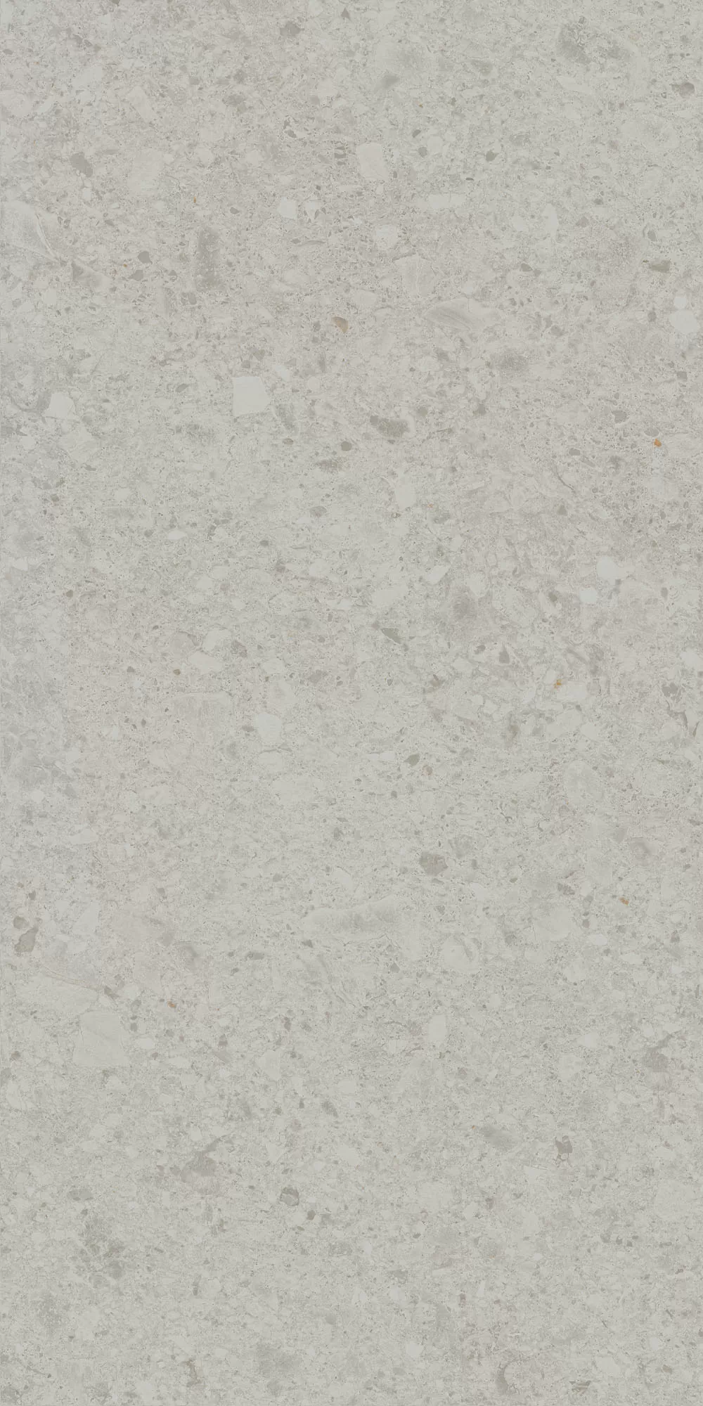 Керамогранит DD591220R Чеппо ди Гре серый светлый матовый обрезной 119,5x238,5x0,9