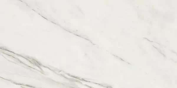 Керамогранит 188223 Calacatta Superwhite Rec 60x120
