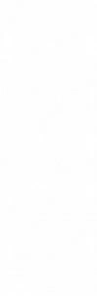 Плитка WT15ROL00R Royal White 24.6x74