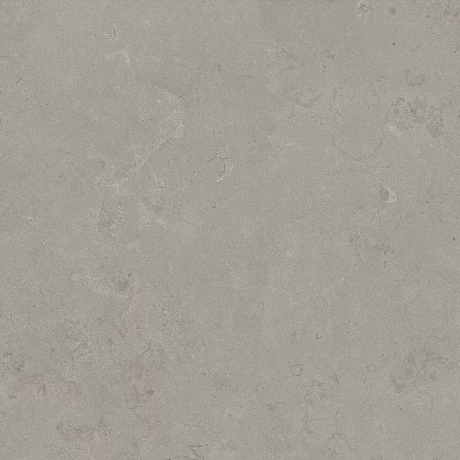 Керамогранит DD640900R Про Лаймстоун серый натуральный обрезной R10 60х60