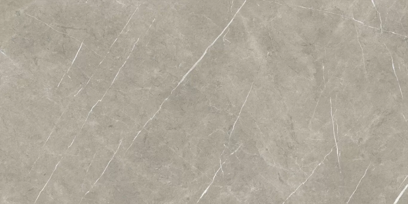 Керамогранит Eternal Taupe Natural 80x160