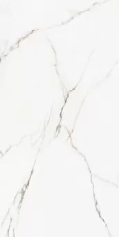 Керамогранит 00-00000245 Calcatta Montreal Polish 60х120