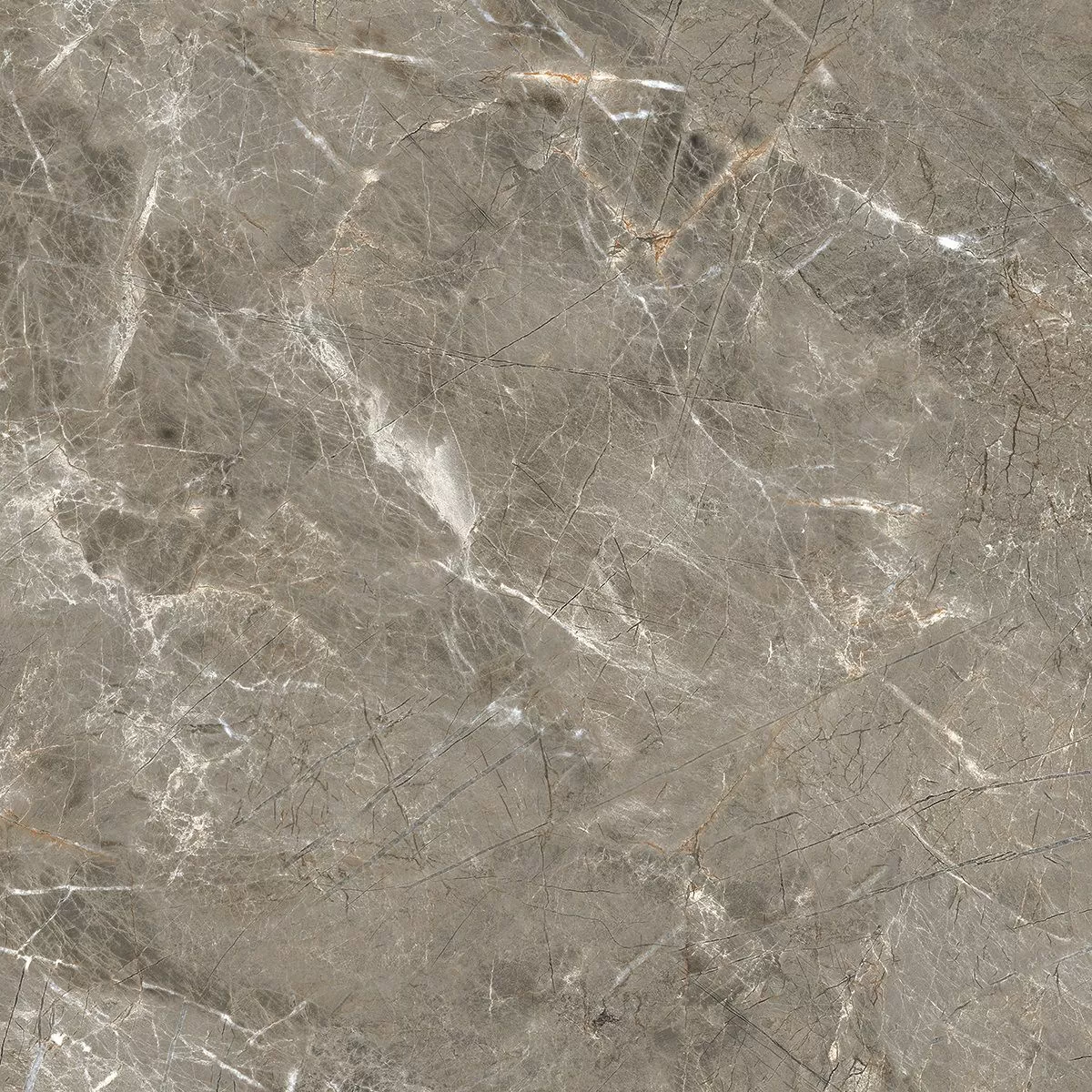 Керамогранит R_PR1023 Olympia Grey Polished 60x60