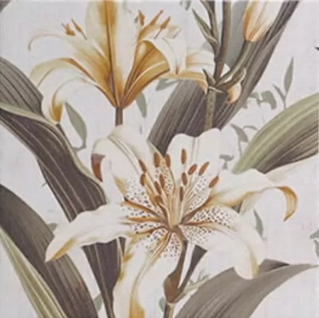 Керамогранит Secrets White 20x20