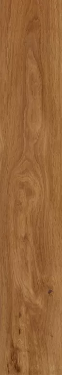 Керамогранит FR01 Forest Amber неполированный 19,4х120