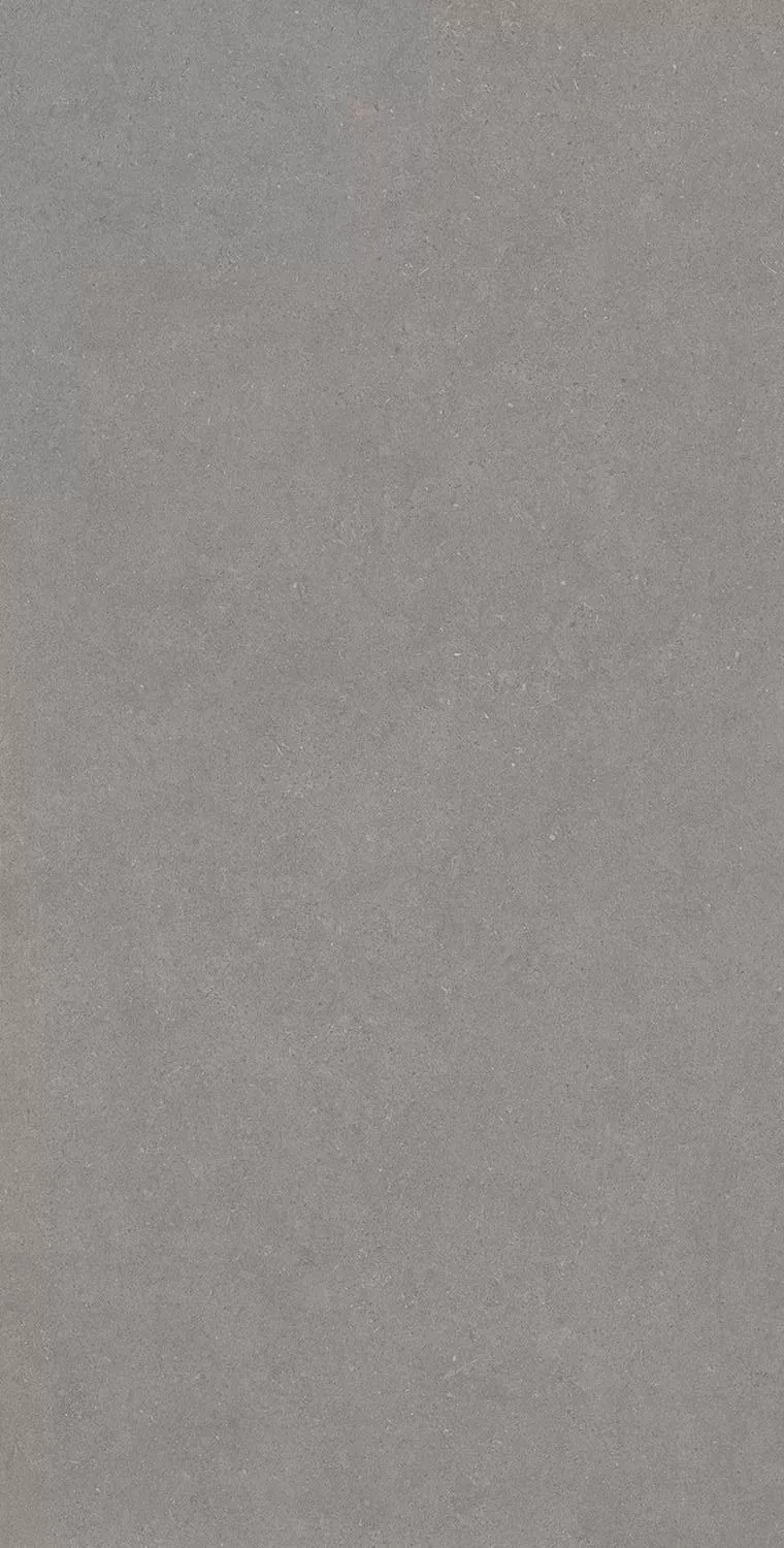Керамогранит Active Grey 120x240