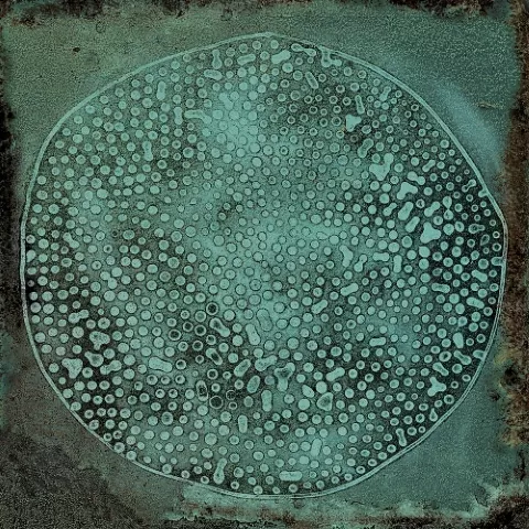 Плитка Carlo Jade-B 20x20