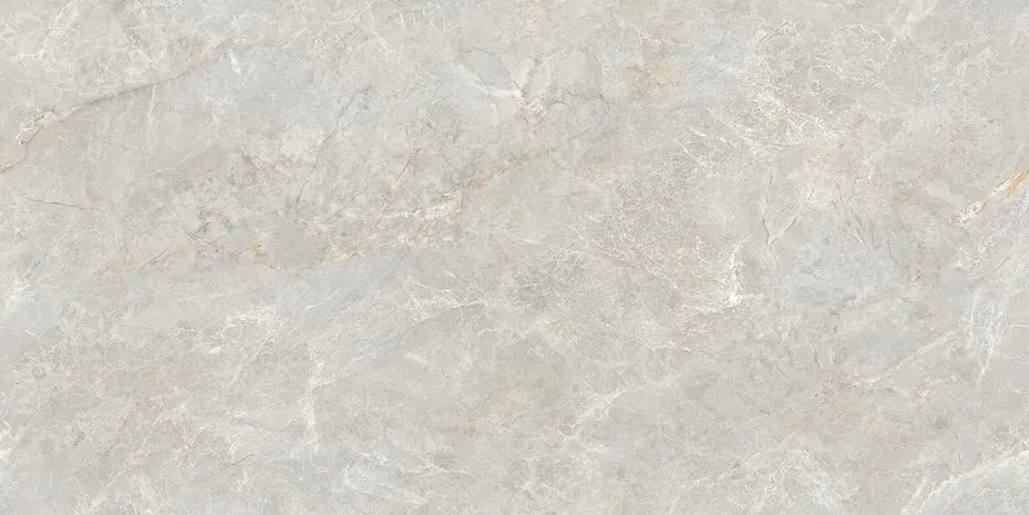 Керамогранит N20584 Soya Silver Carving 80x160