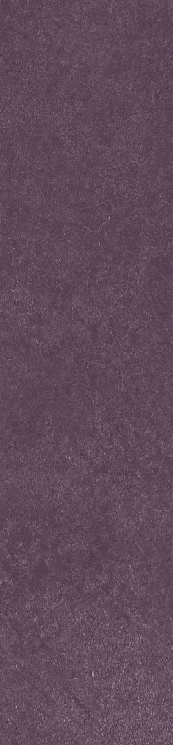 Керамогранит Scs Spectra Wine 5,8х25