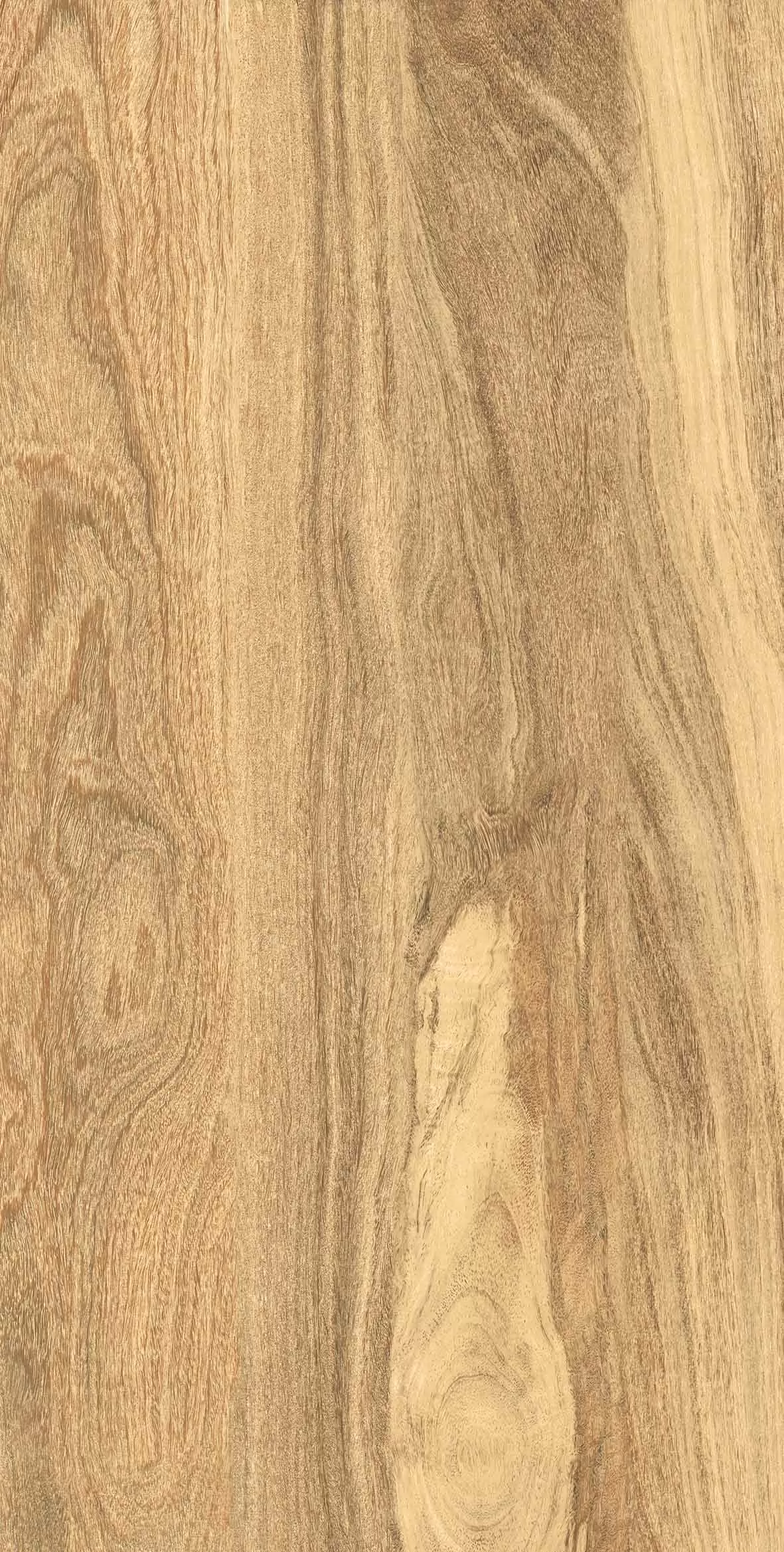 Керамогранит Taiga Light Matt Carving 60х120