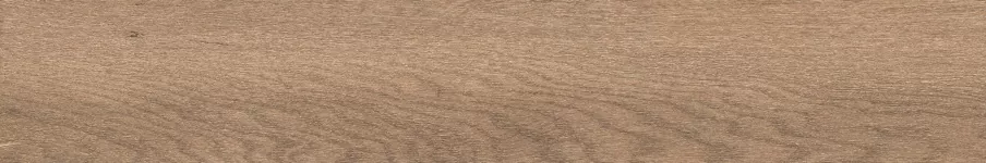 Керамогранит F4506M Forest Сhestnut Matt 20x120