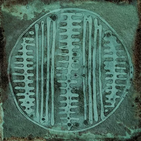 Плитка Carlo Jade-B 20x20