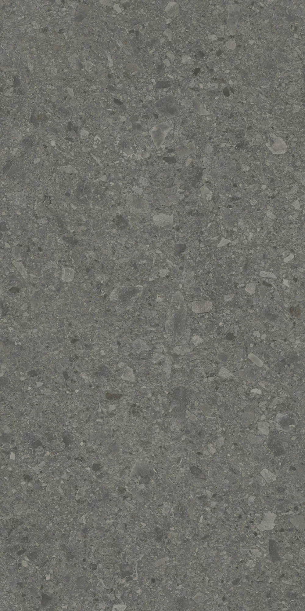Керамогранит DD591600R Чеппо ди Гре антрацит матовый обрезной 119,5x238,5x1,1