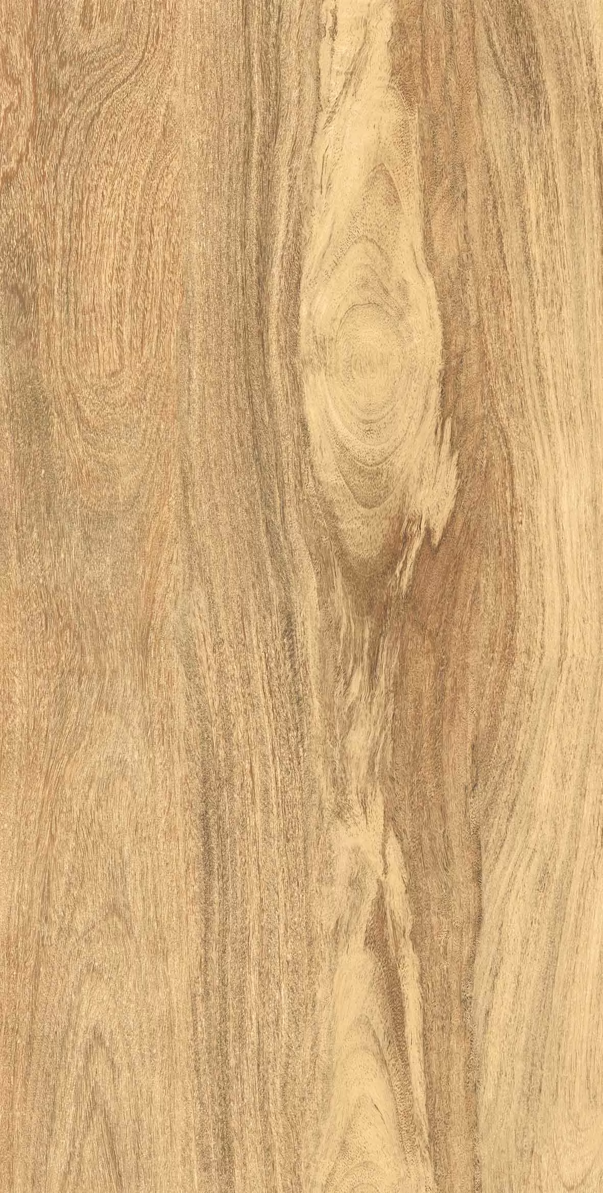 Керамогранит Taiga Light Matt Carving 60х120