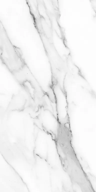 Керамогранит 010400001222 Marmara white белый PG 01 60х120