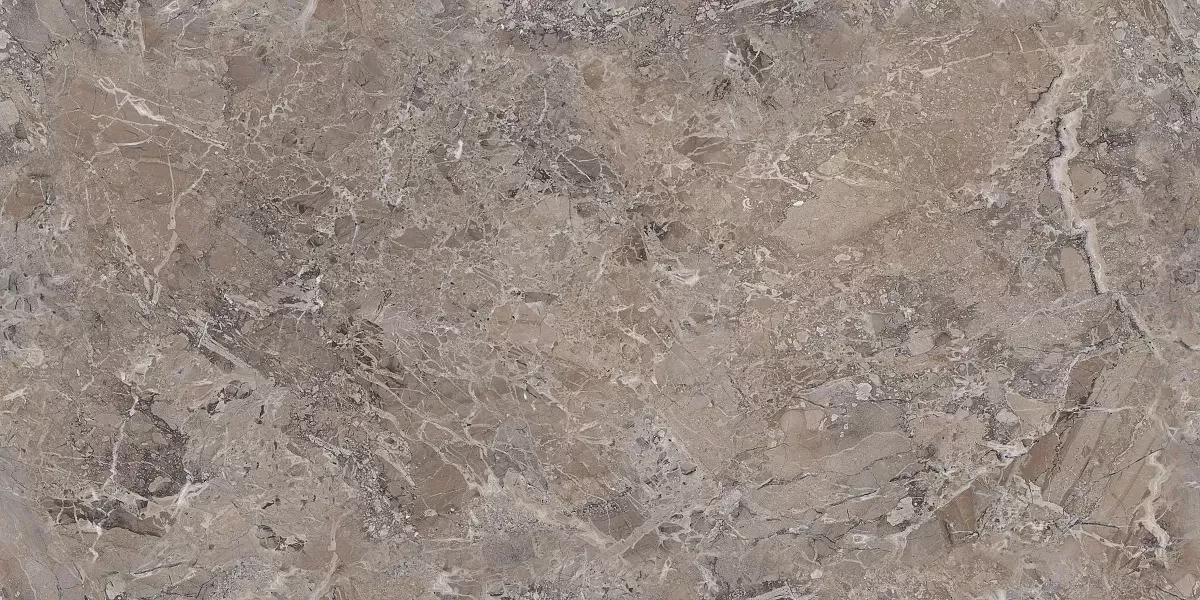 Керамогранит Danir Mud Glossy 60x120