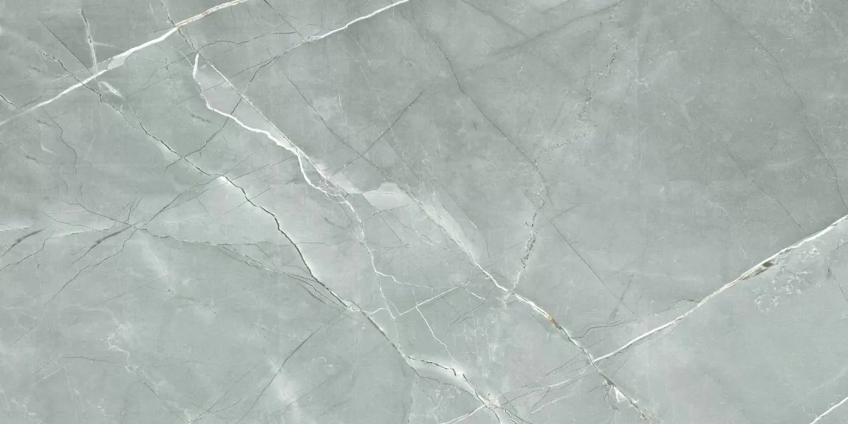 Керамогранит R_PR2019 William Grey Polished 60x120