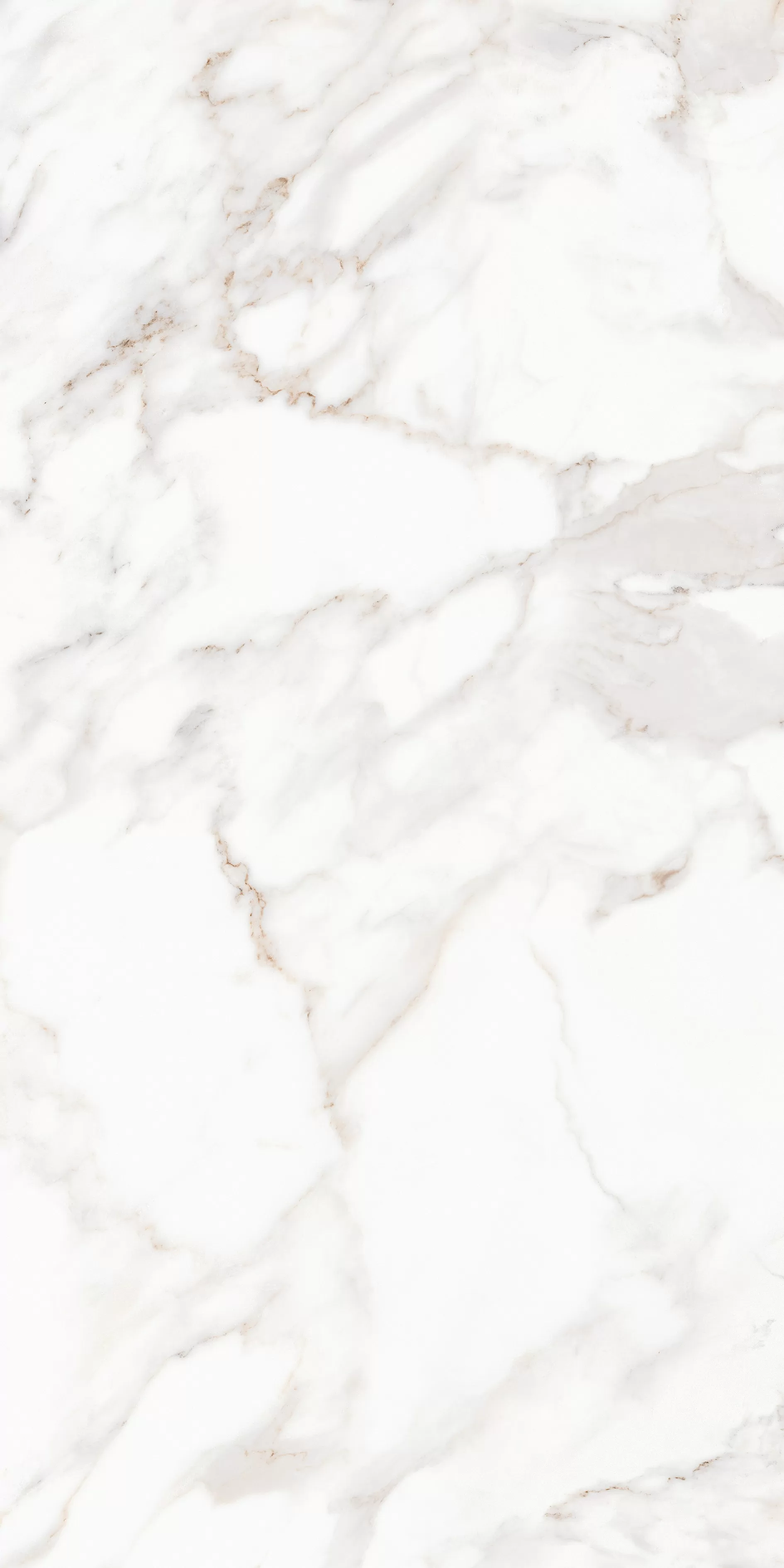 Керамогранит MPL-058632 Calacatta Satin 80x160