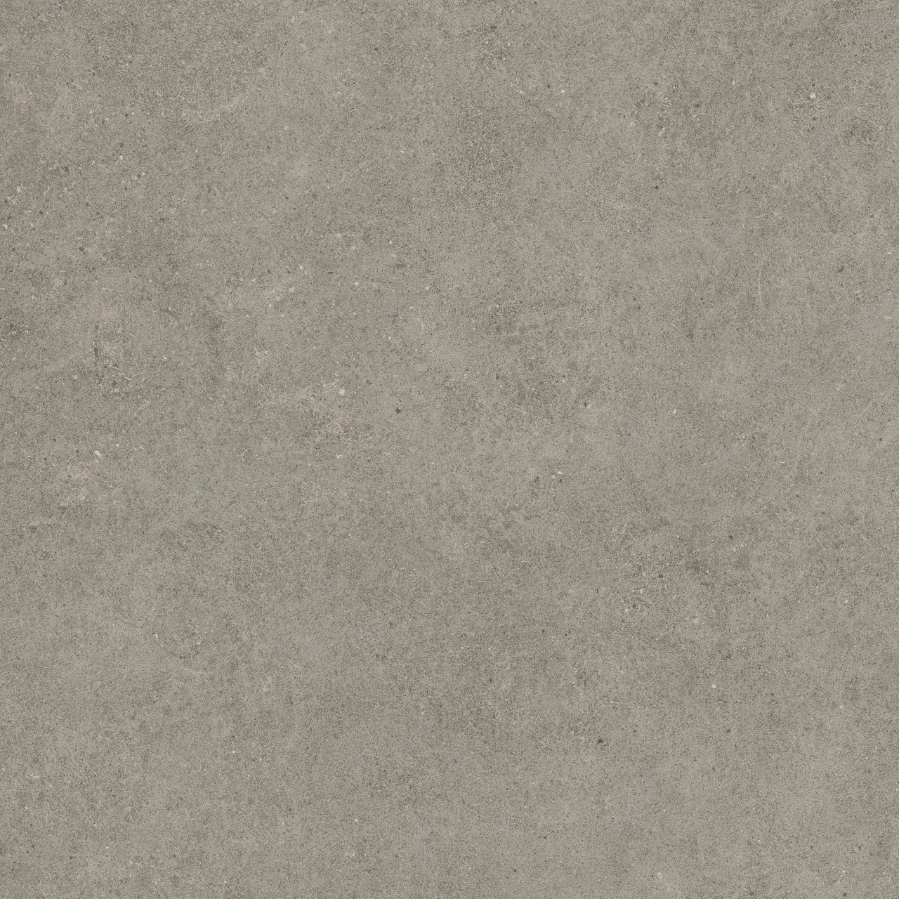 Керамогранит 600010002429 Forte dei Marmi Rock Lunar Grey Matt Rett 120x120