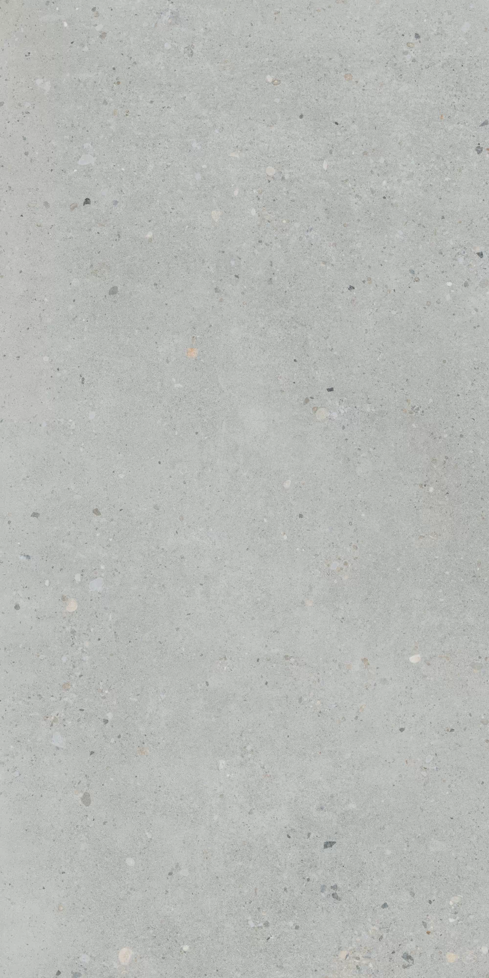 Керамогранит K947893R0001VTER Серый Матовый R10A Ректификат 60x120