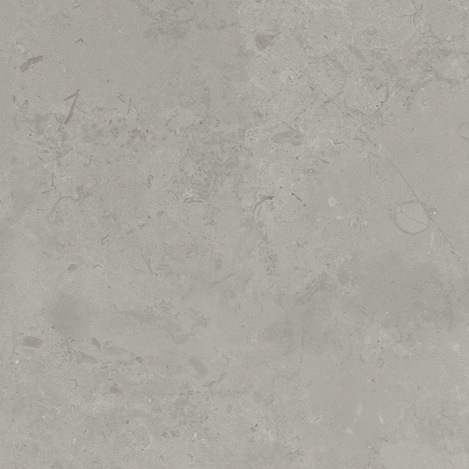 Керамогранит DD640900R Про Лаймстоун серый натуральный обрезной R10 60х60