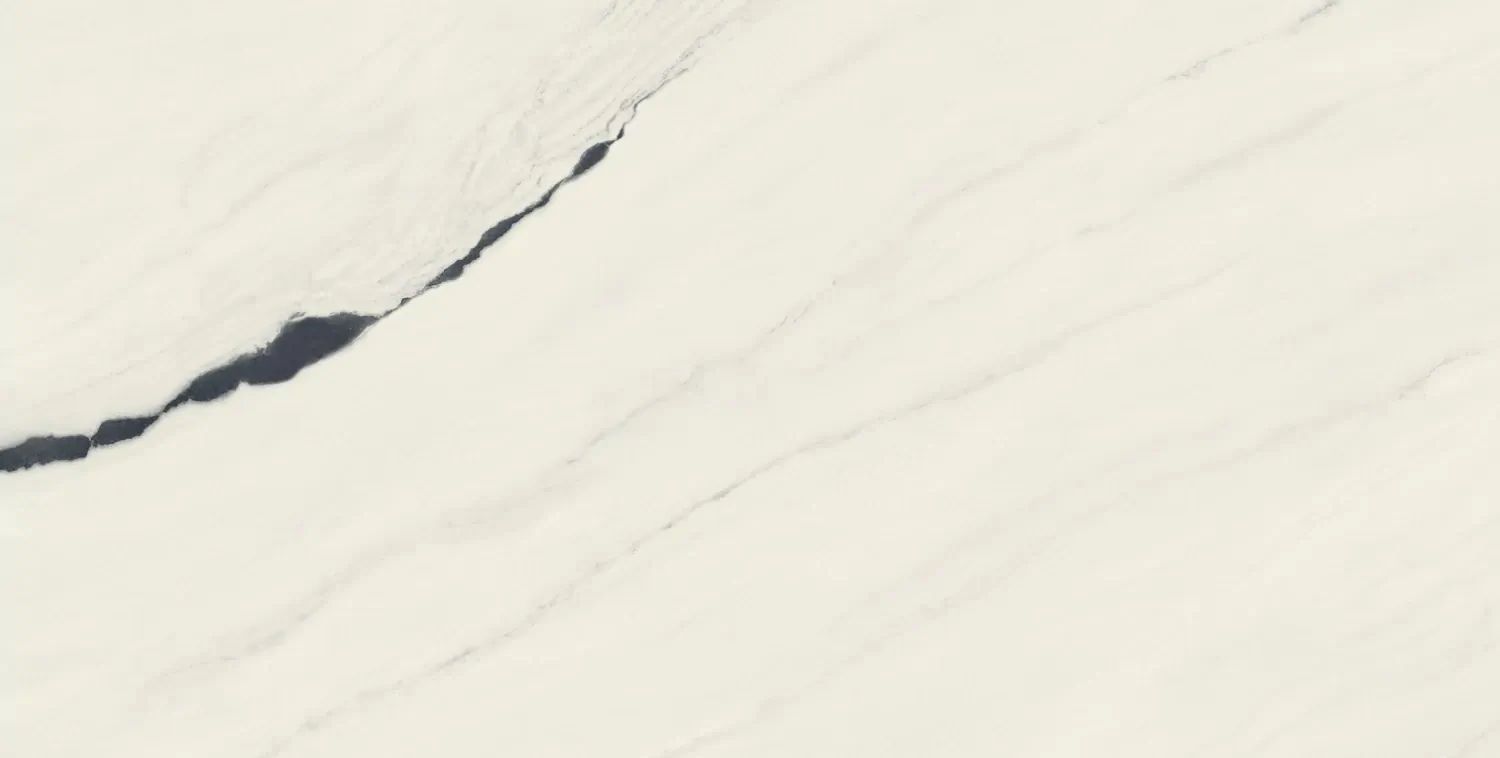 Керамогранит 610010002709 Forte dei Marmi Panda White Rett 80x160