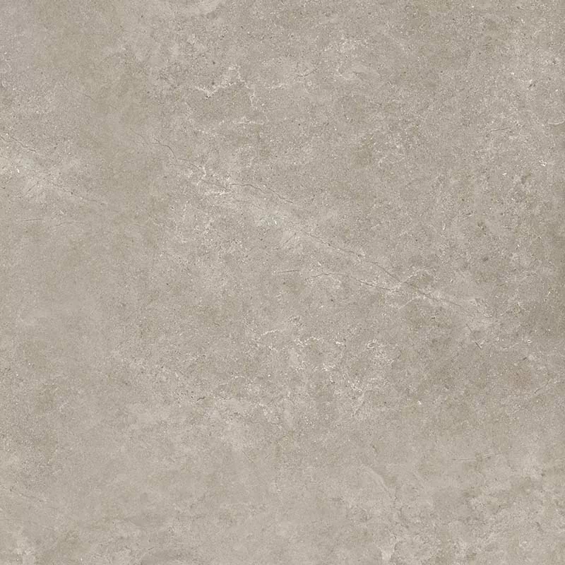 Керамогранит 8162 Shell LG 60х60